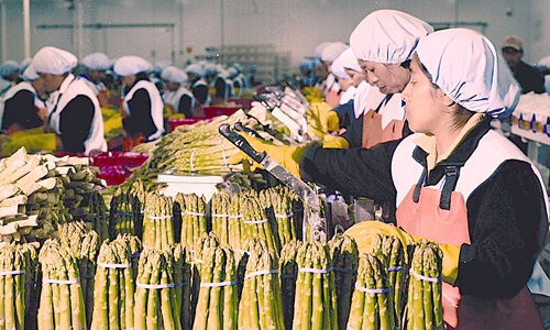 green asparagus packaging
