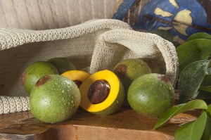 Lucuma abierta Lucuma abierta