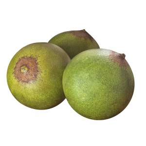 LUCUMA