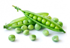 GUISANTE DULCE (Sugar Snap)