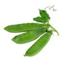 TIRABEQUE (Snow Peas)
