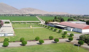 proveedor de Sinova Athos