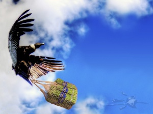 Cóndor con espárragos, Calendario 2008