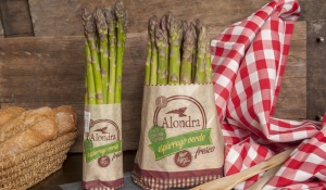 Alondra asperge Alondra asperge