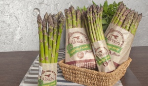 Alondra asperge Alondra asperge