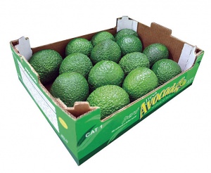 Palta en caja