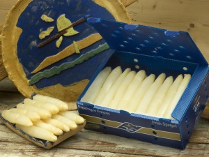 Asperge blanche sinova 3 Asperge blanche sinova 3