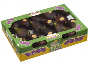 Mateo y Sinova figues 6