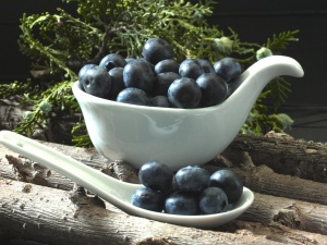 mirtilli mateo & sinova 3 mirtilli mateo & sinova 3