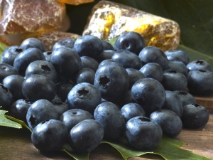 mirtilli mateo & sinova 4 mirtilli mateo & sinova 4