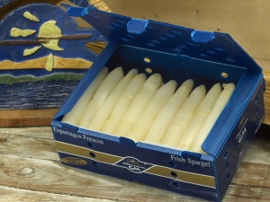 Asparago bianco Sinova 5 Asparago bianco Sinova 5