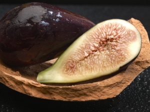 Mateo & Sinova fichi 4