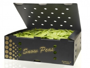 Tirabeques en caja Show Pears