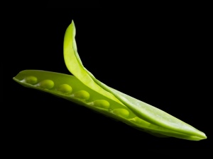 Tirabeques en caja Show Pears