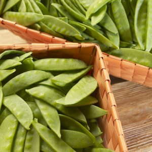 Tirabeques en caja Show Pears